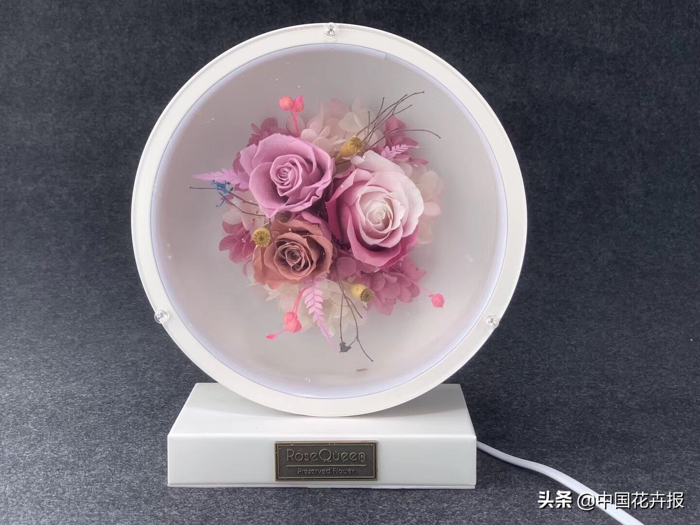 什么是永生花,野兽永生花为什么这么贵