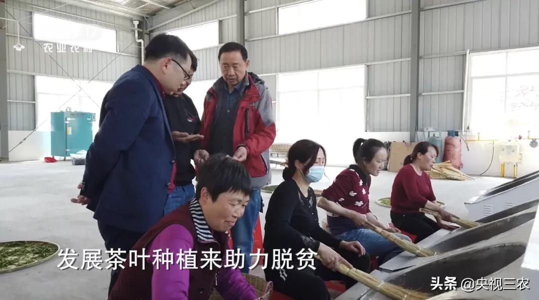 他放弃高薪回村干这一行，旁人不理解，如今大获成功