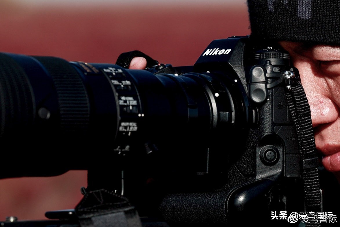 尼康z9有希望更新人像模式吗,尼康z9为什么适合打鸟