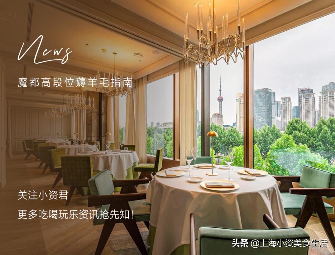 魔都薅羊毛日记,2022魔都高段位薅羊毛指南