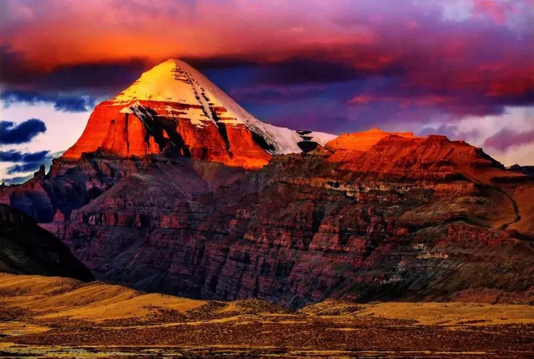 冷知识鲜为人知,冷知识大全恐怖未解之谜