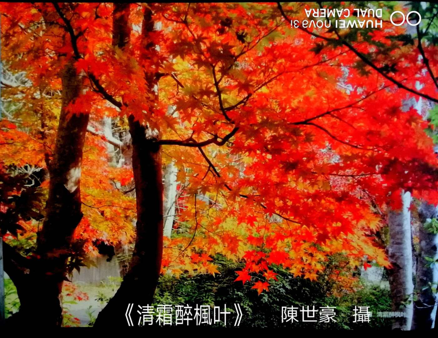 陈世豪摄影集《心弦》部分作品分享