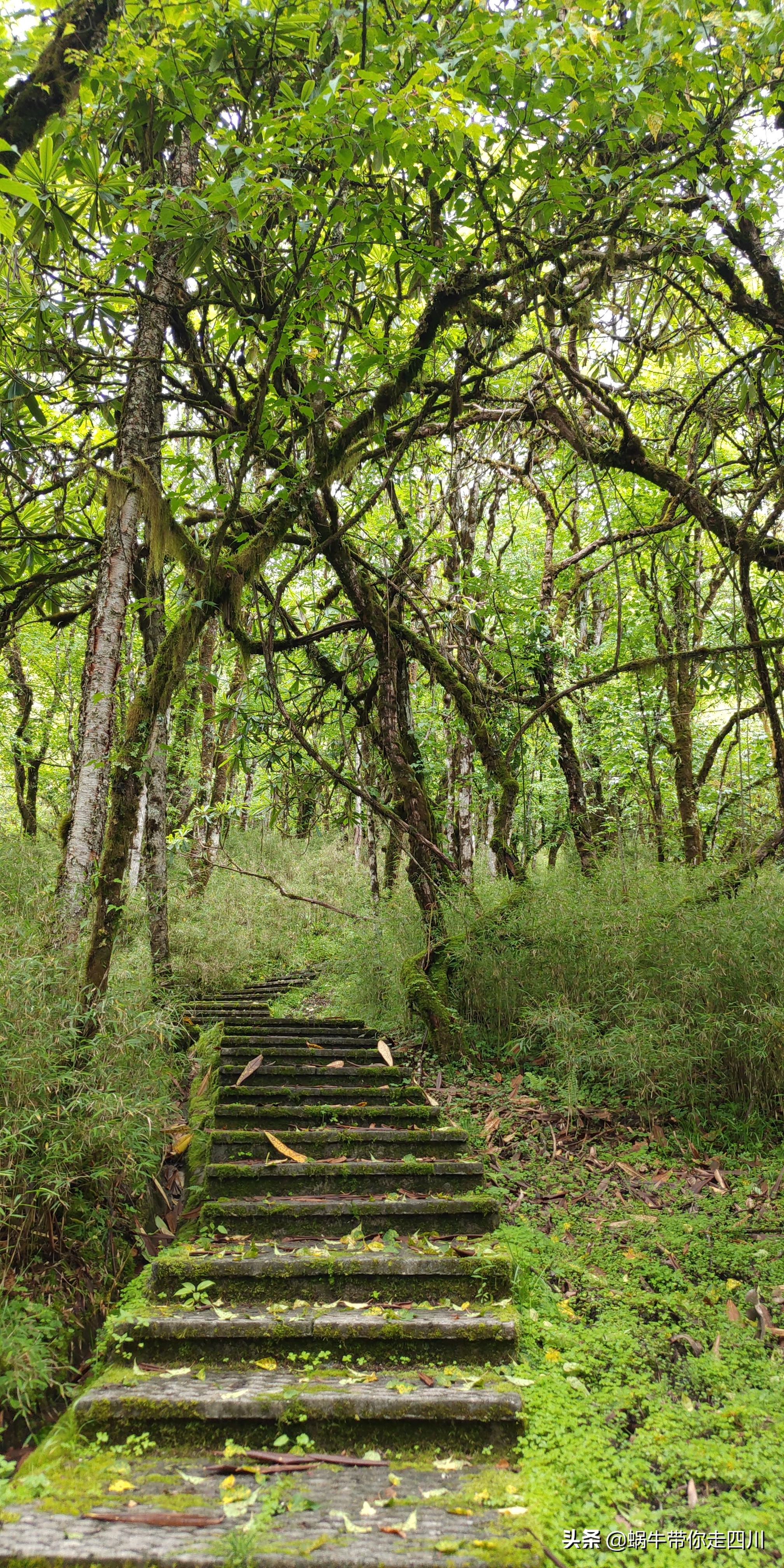 带小朋友出去看小动物,带小孩去海洋动物园
