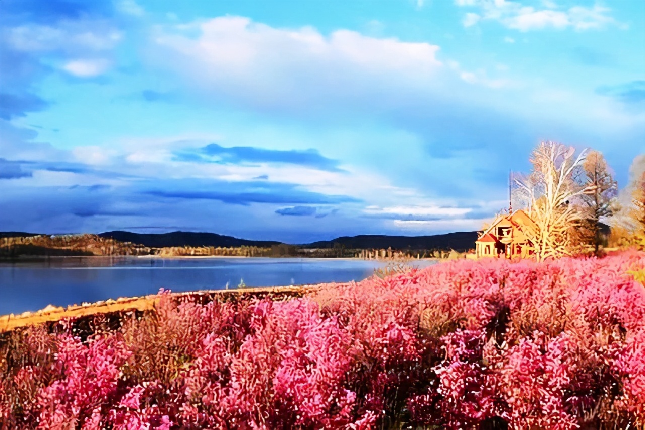 人走背运时看透人心,人走背运到极致是物极必反的开始
