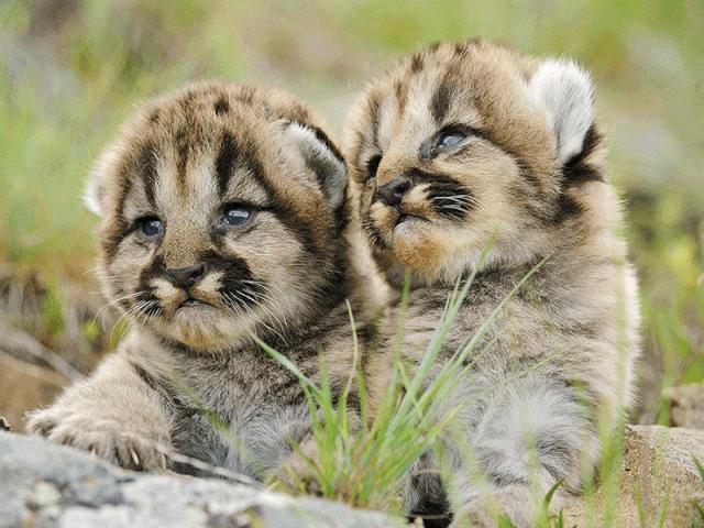 宁波东钱湖花博园酒店,宁波东钱湖亲子度假酒店排名