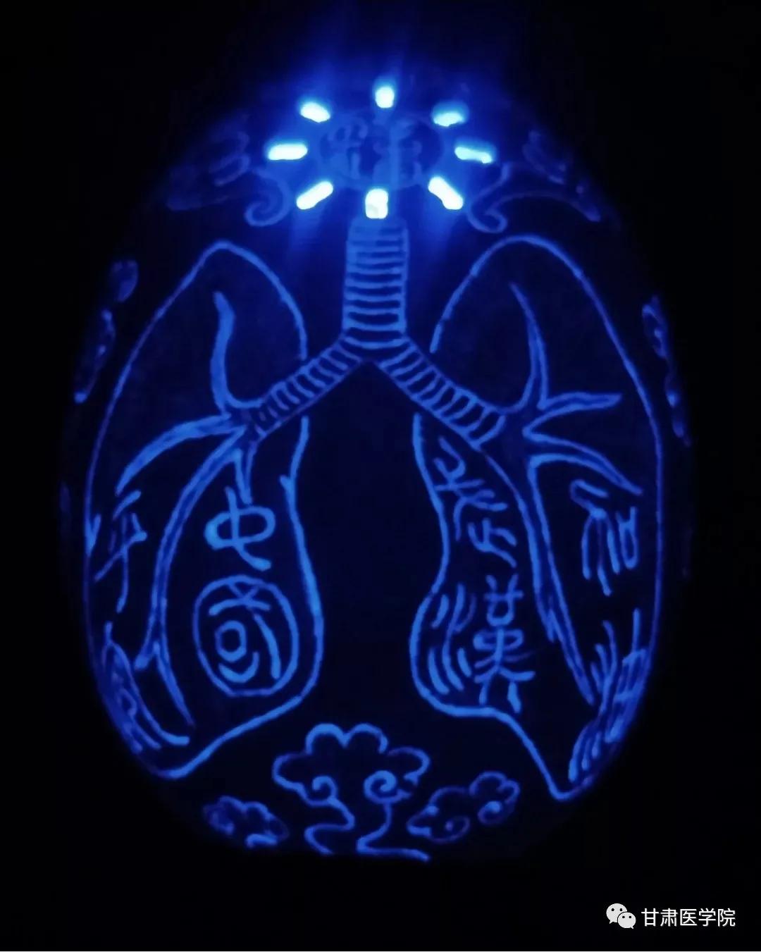 甘中医最新消息,甘中医博士生导师