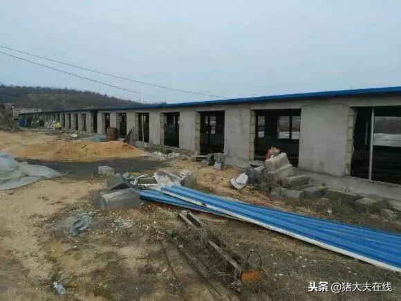 一条龙羊场,最大羊场