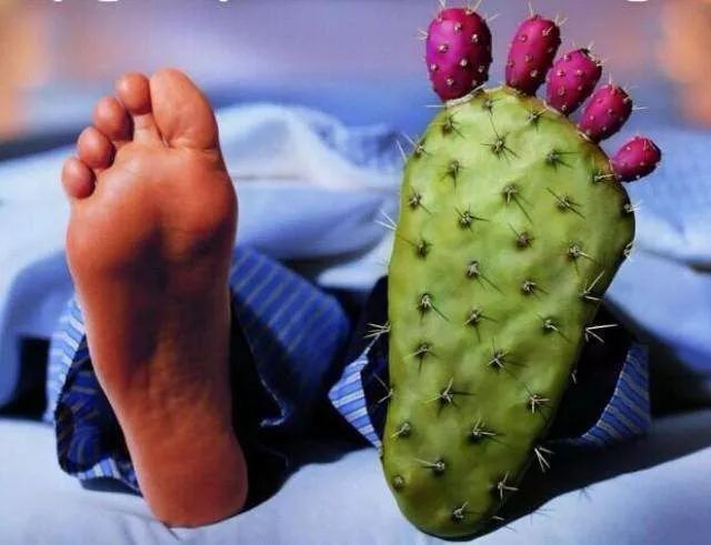 体检发现尿酸高有痛风迹象怎么办,长期血尿酸增高容易引起痛风