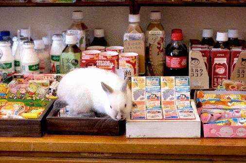 全国新开店铺,值得打卡的全国首店