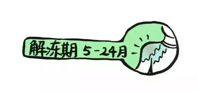 骨科医生在练肩部健身操,肩部康复健身操