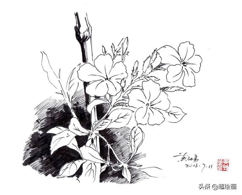 十大顶级钢笔画速写,钢笔速写100幅图片