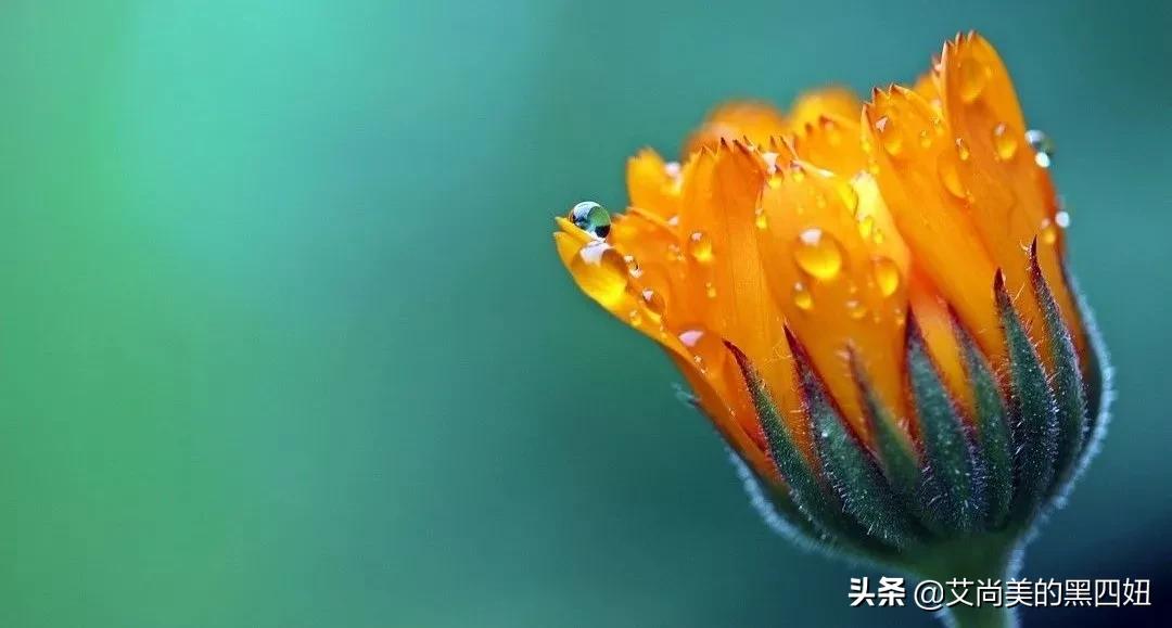 化妆品销售话术技巧和应变能力,化妆品实体店销售技巧和话术大全