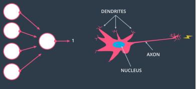 无人驾驶交通标志识别,图像识别无人驾驶