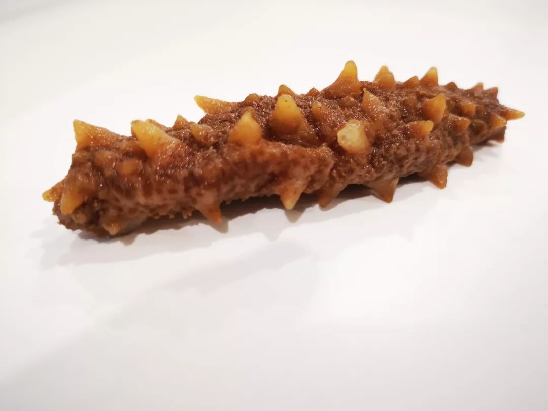 新西兰海参官网,新西兰金刺参如何辨真假