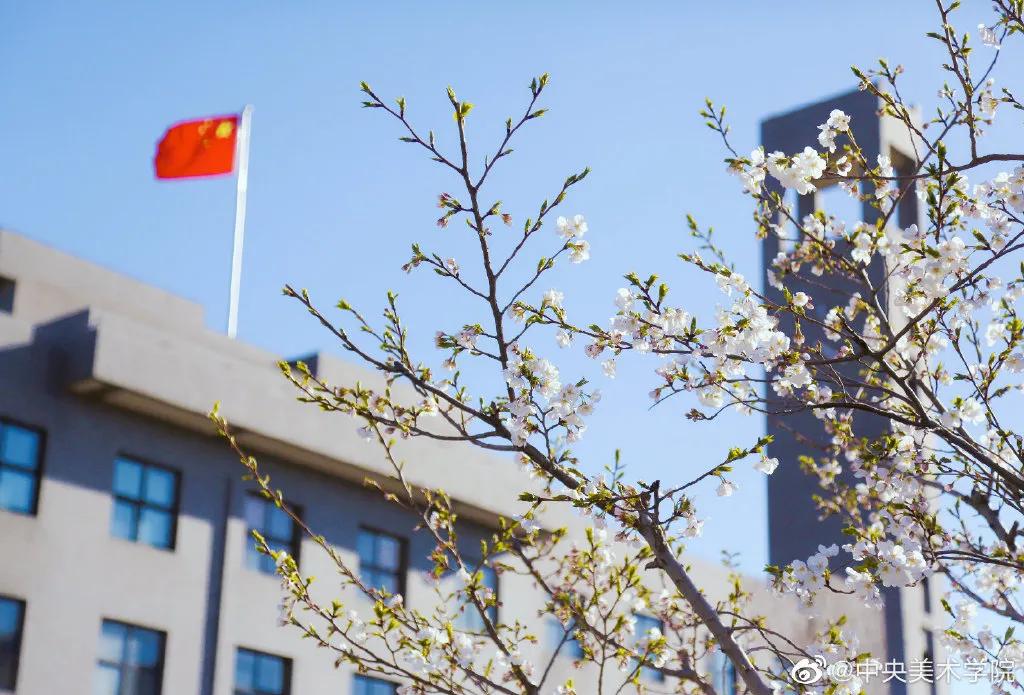 九大美院校园风景,中国九大美院校园风采