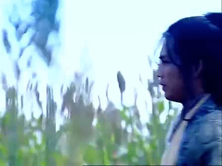 窝家里舔屏“一顾惜朝误终身，不顾惜朝终身误”