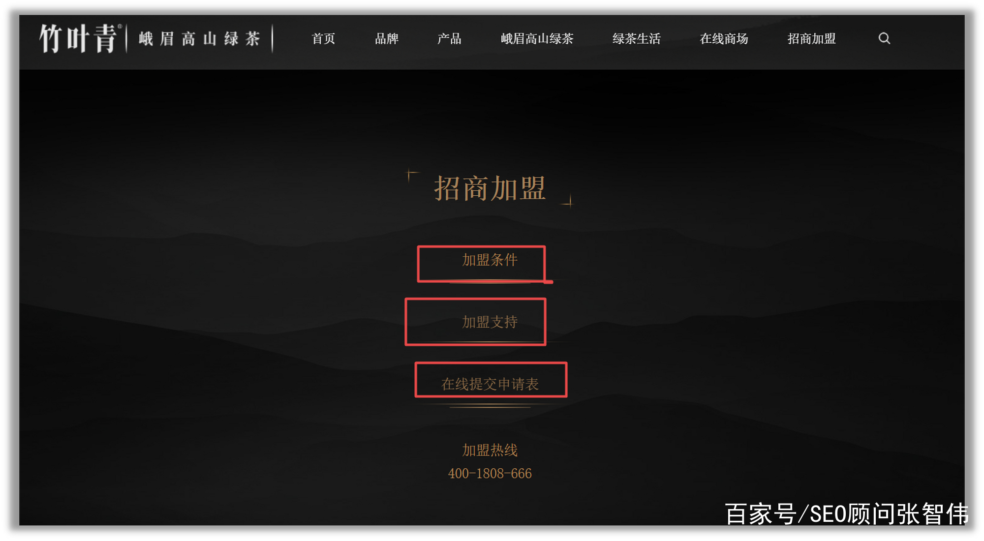 鎼滅嫄seo璇婃柇,婀栧崡seo缃戦〉璇婃柇