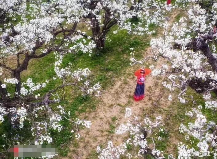 吃喝玩乐疯狂打卡,吃喝玩乐休闲农庄