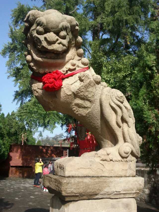 东方维纳“狮”与“万年”银杏王，清化古道上的山西泽州冶底岱庙