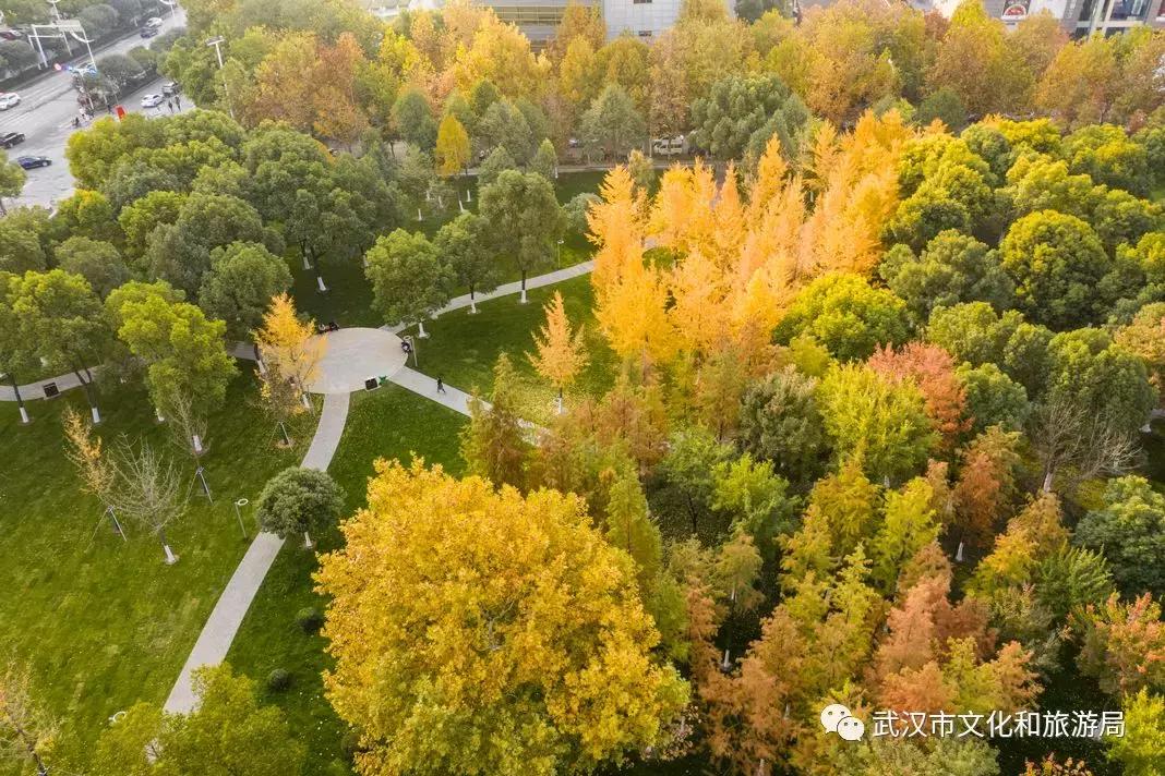 武汉一日游攻略必去十个景点免费,武汉一日游推荐景点介绍