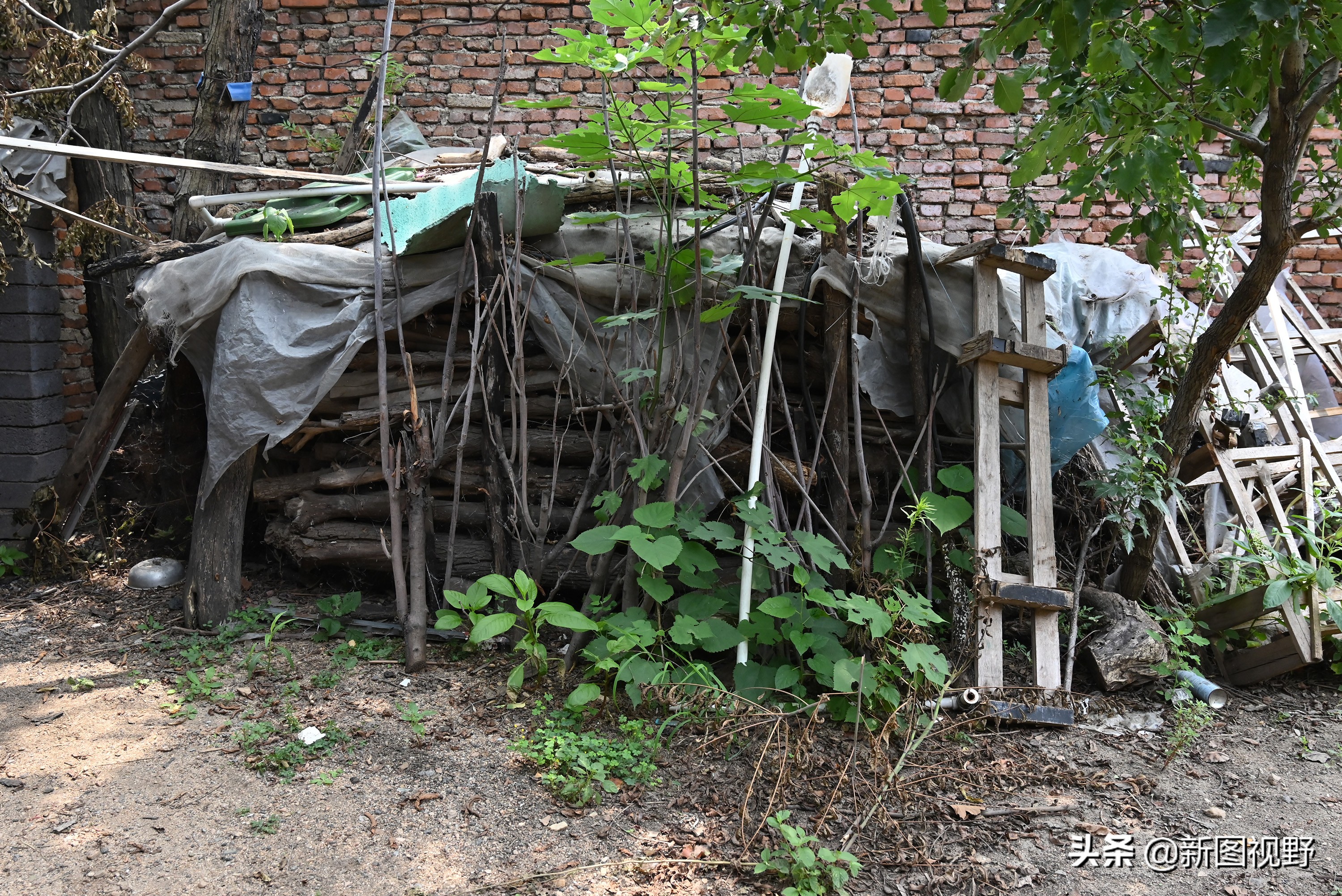 100岁爷爷一日三餐,100岁的爷爷长寿秘诀