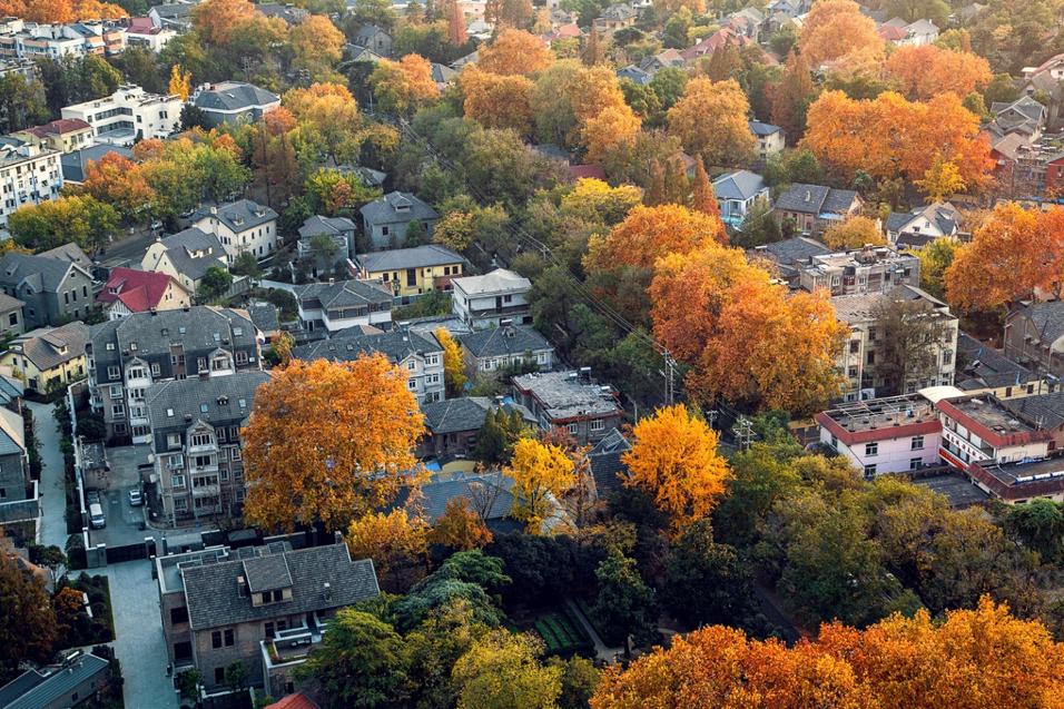 南京规划局局长叶斌,南京规划和自然资源局叶斌