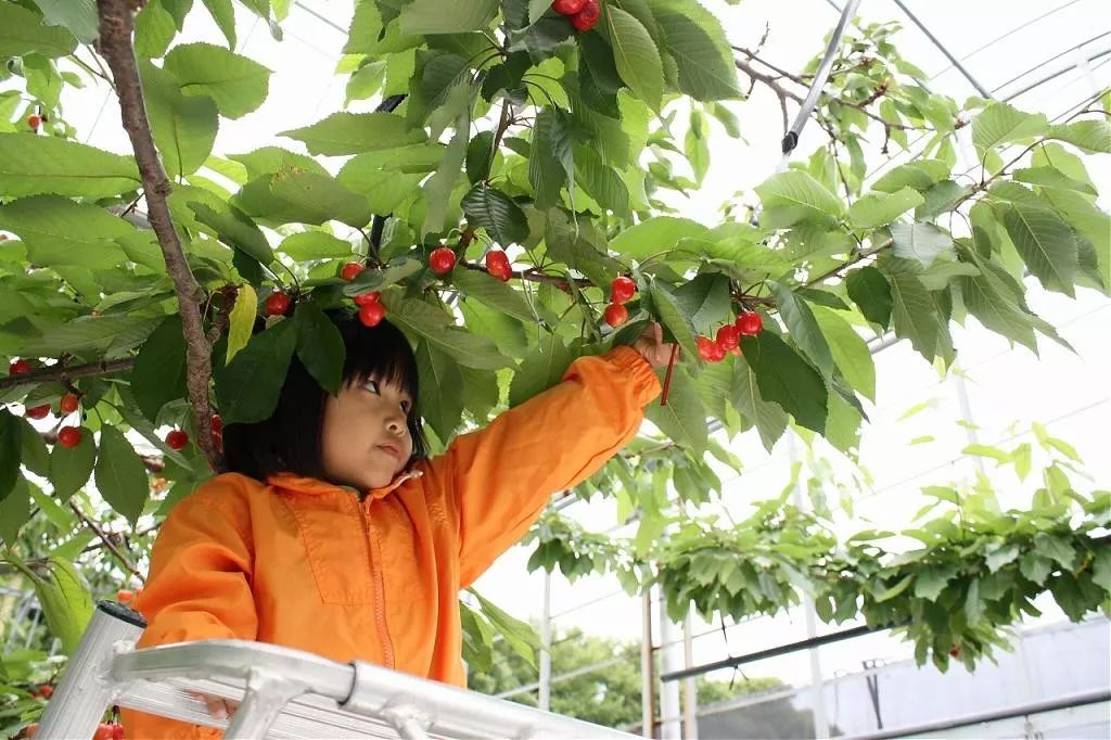资深玩家推荐旅游,日本海滨度假胜地