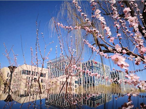 鐖遍┈浠曢泦鑱氬湴,閫夊潃娴嬭瘎