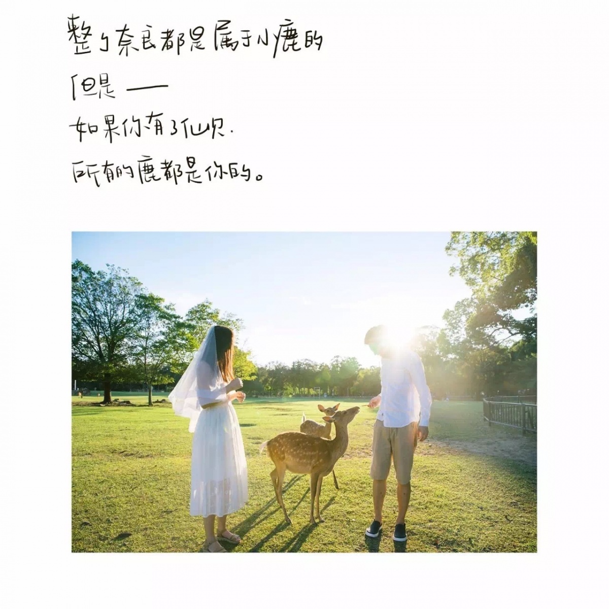 火爆抖音自拍婚纱照,婚纱照个人怎么自拍好看