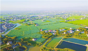 话说沈家弄｜钟埭有个自然村落却以“弄”为地名