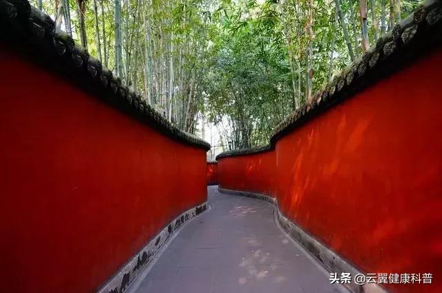 中医药常用术语,这些医疗用语你读对了吗