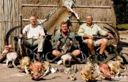 hive和clickhouse各自的应用场景,基于hive的大数据