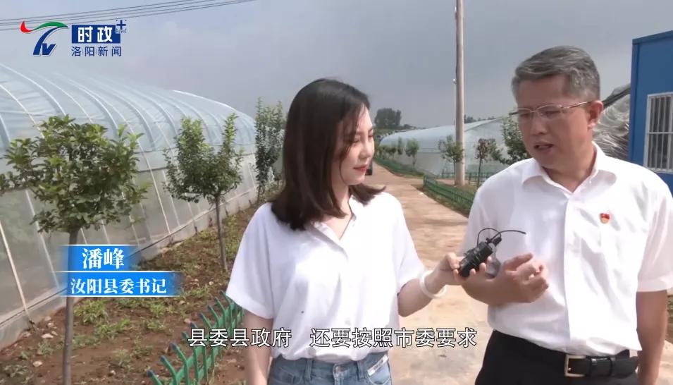 汝阳县发展,汝阳最近很火的地方