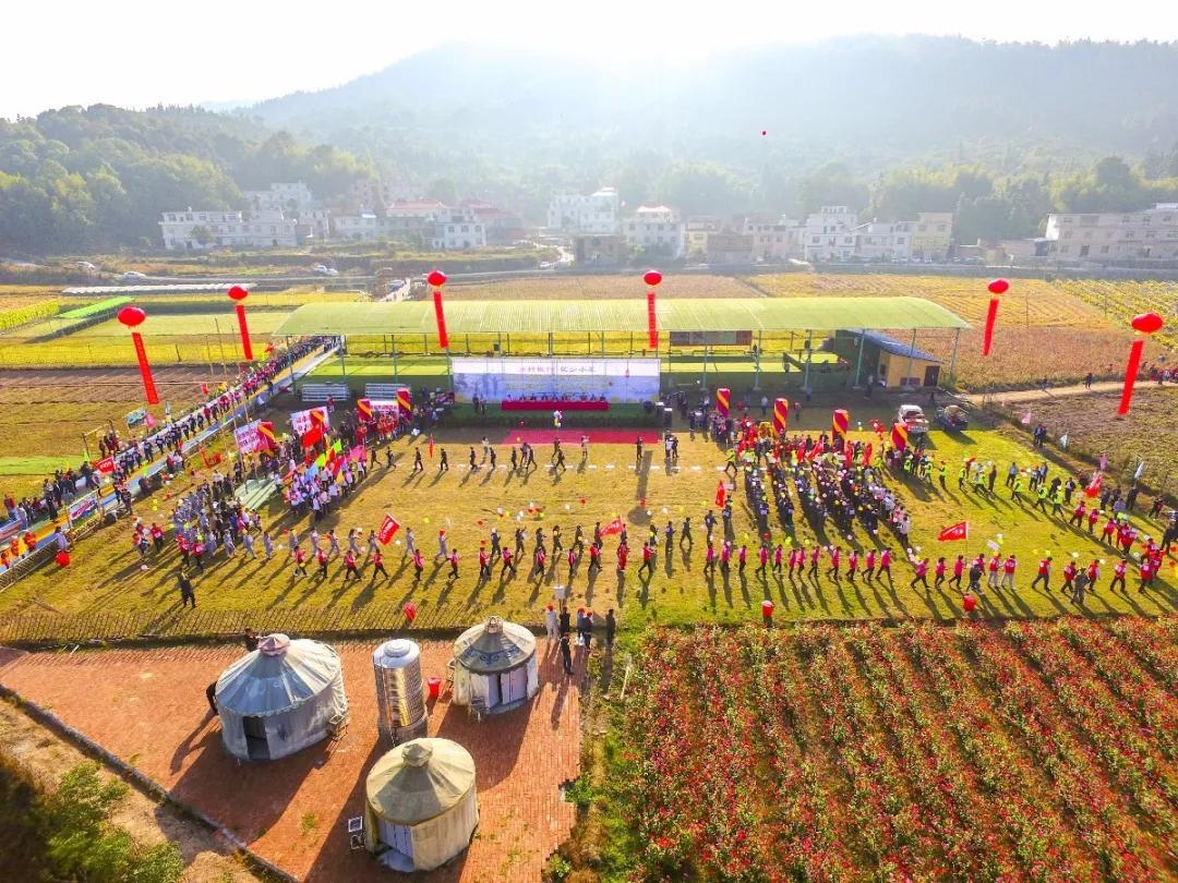 最近上栗的新闻,上栗大变化