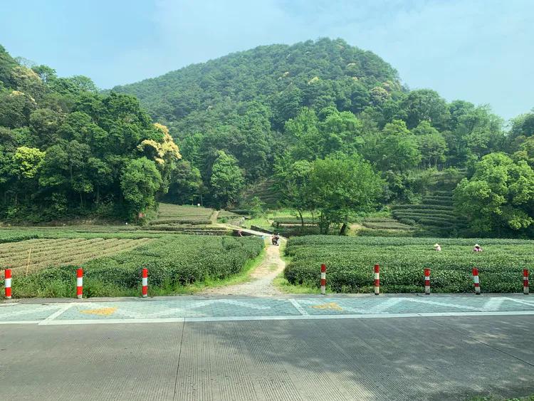 龙井村九溪十八涧徒步最佳路线图,九溪十八涧只有龙井村一个出口吗