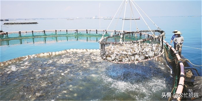 5鏈堟贰姘撮奔浠锋牸涓婃定鍘熷洜,浠婂勾鍥涘ぇ瀹堕奔浠锋牸浣庤糠鍘熷洜