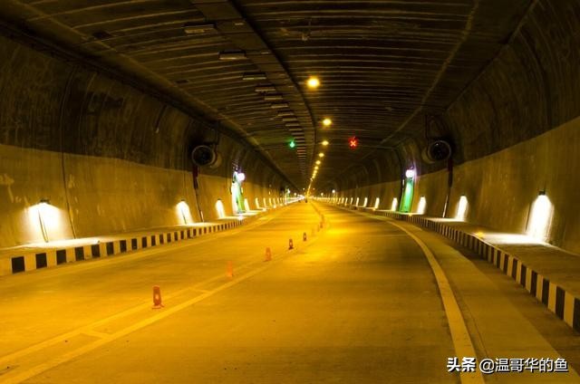 拉达克地形,拉达克军总兵力