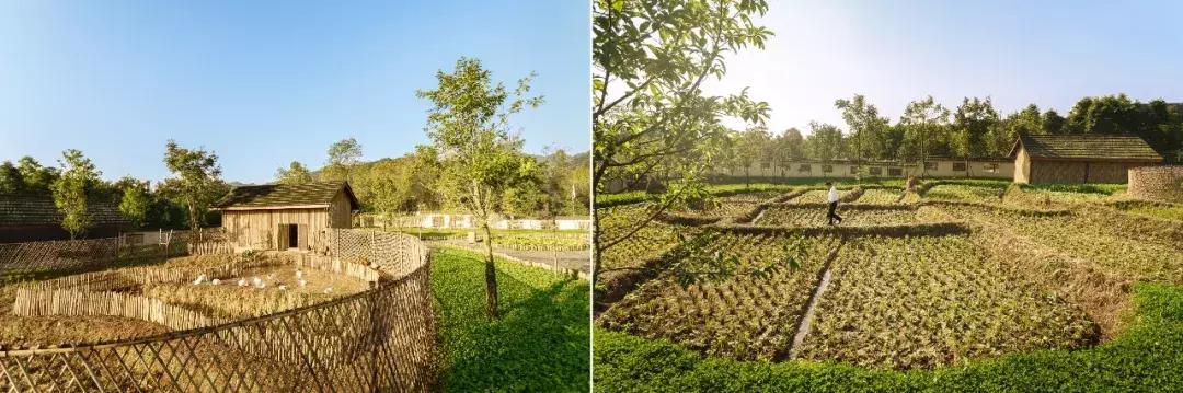 中国最闲适的城市,中国最悠闲城市