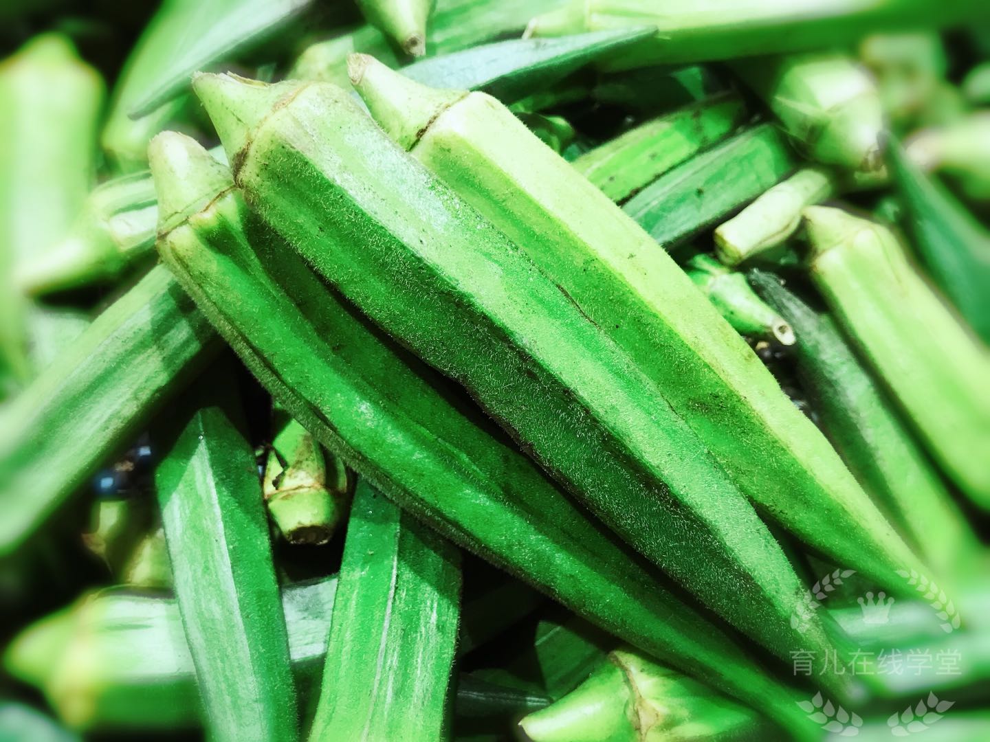 产后回奶有什么好的方法,产后要回奶的话有什么办法