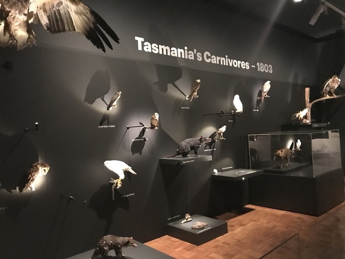 去墨尔本演出,马云到墨尔本见老友