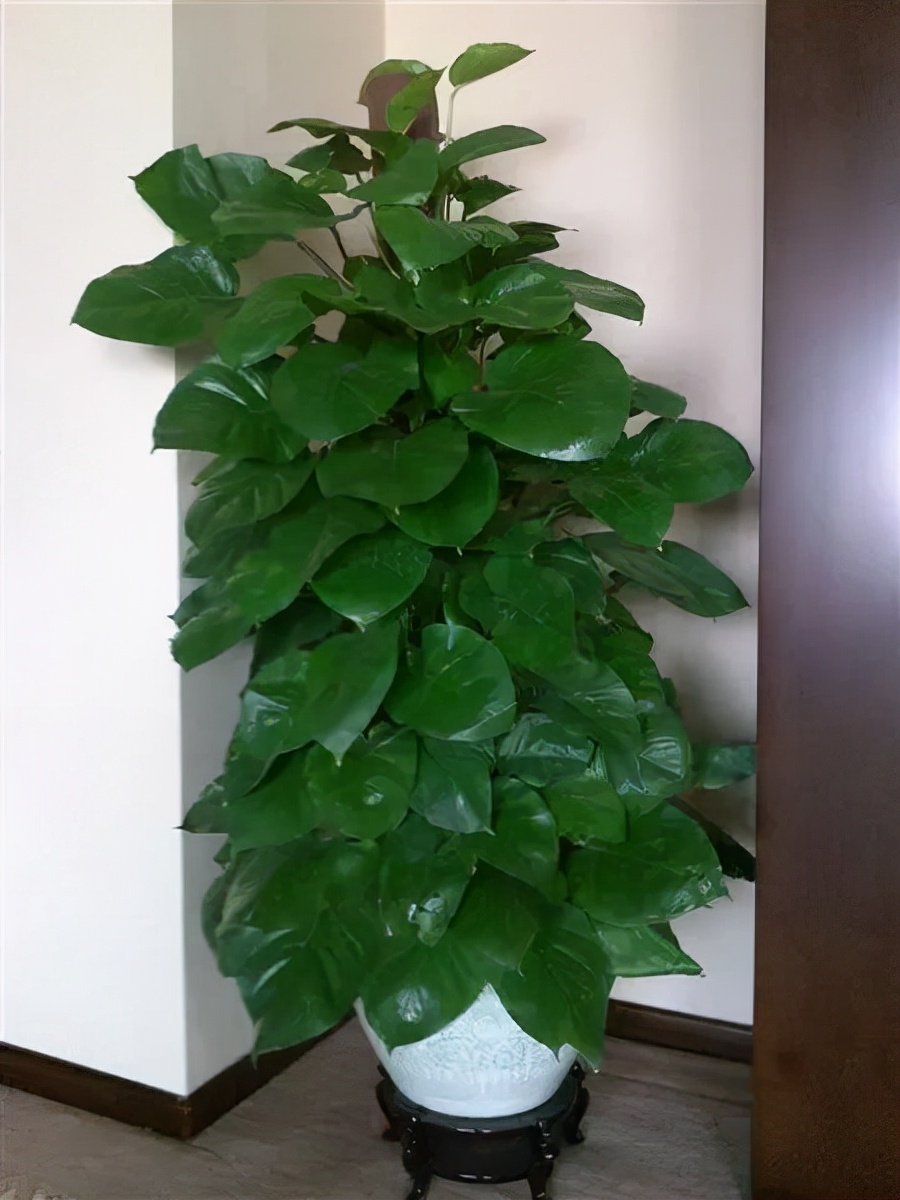 新房装修完多久可以去除甲醛,一般新房子装修多久才能去除甲醛