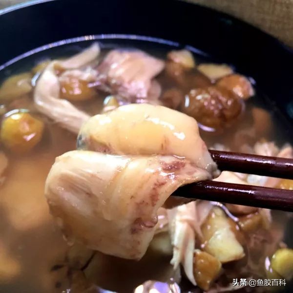 分享一款适合夏季的鱼胶做法,鱼胶怎么做不腥又好