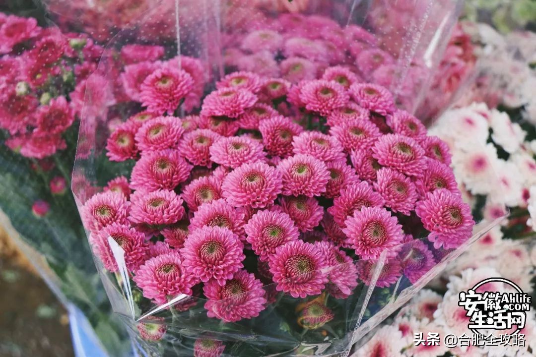 老周谷堆水果批发市场,老周谷堆古玩市场