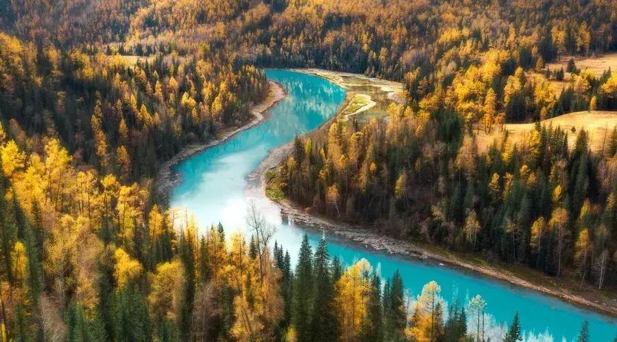 一匹马的故事，带你认识这个宇宙的真相！