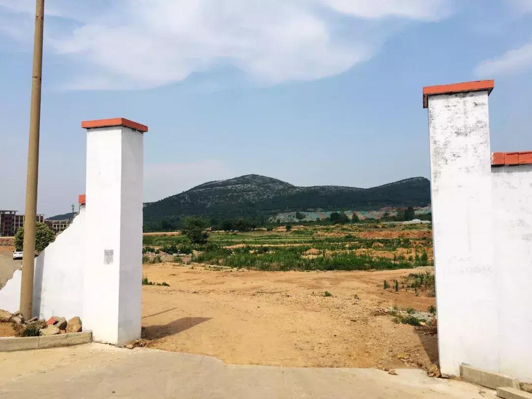 枣庄新城正在建设的房子,枣庄新城的项目