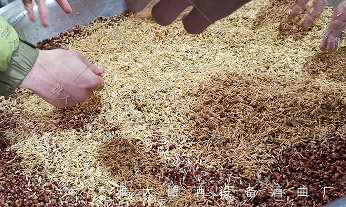 蒸酒不出酒是什么原因,煮酒发酵好怎么没有酒是怎么回事