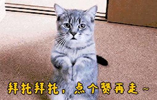 旅行社从不会告诉你的那些行业内幕