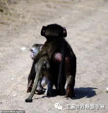 走进非洲No.338岁离开9岁女儿先生驻外中铁七局海外项目