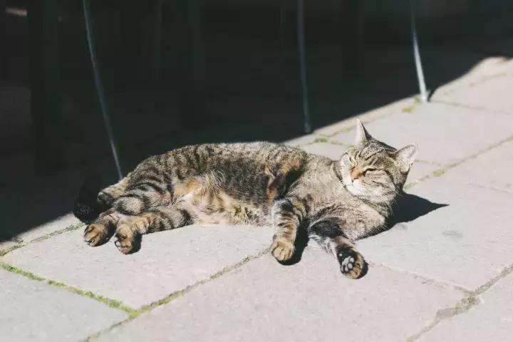 意大利秋季穿衣搭配,一周法式衣服搭配图片