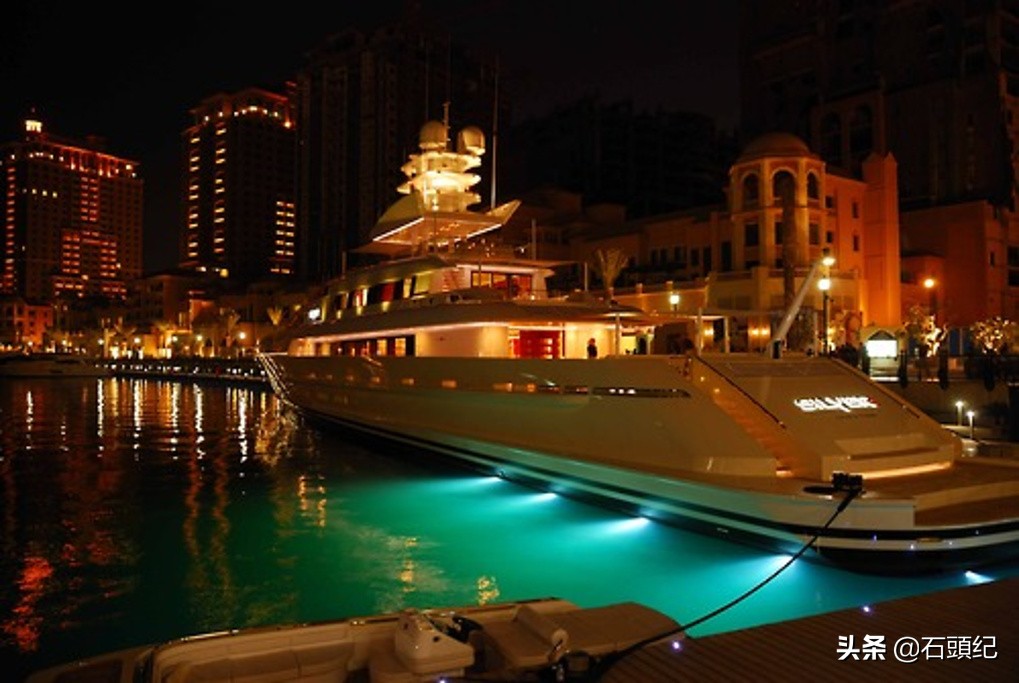 阿拉伯土豪宠物鸟,中东土豪的宠物